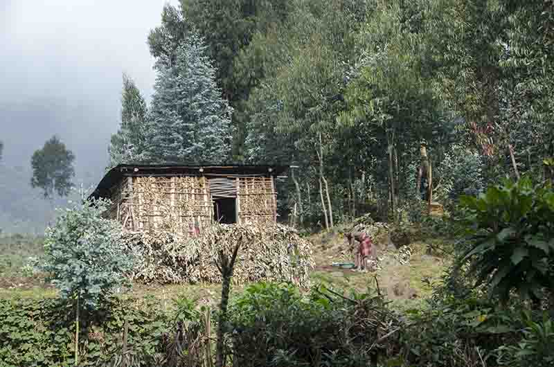 27 - Ruanda - parque nacional de los volcanes - casa